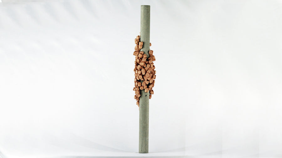 Metamorfosi